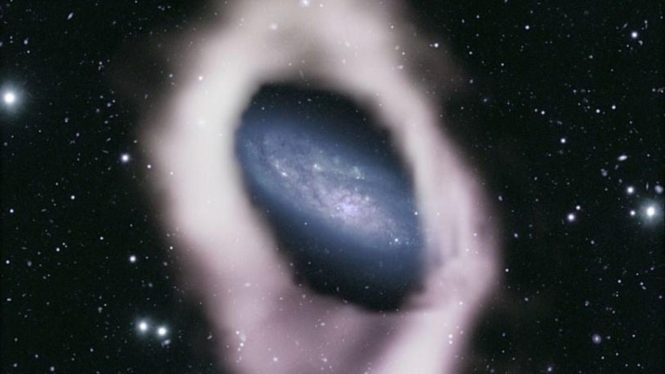 Australian Radio Telescope Spots Possible ‘Polar Ring’ Galaxy