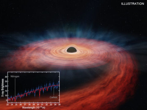 Autopsy of a star reveals what was eviscerated by a monster black hole