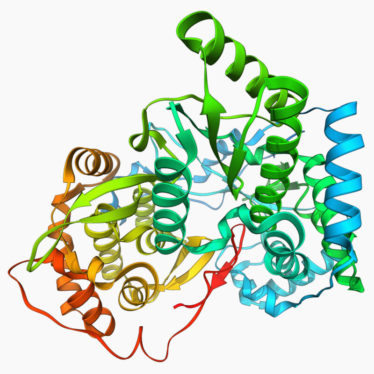 Google’s AI protein folder IDs structure where none seemingly existed