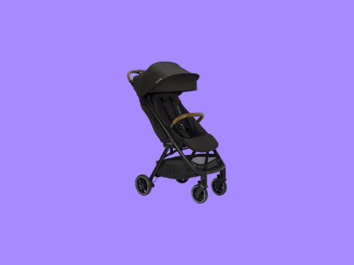 I Use This Overpriced Travel Stroller Every Single Day (2023)