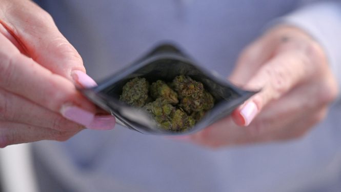 Online Marijuana Shops Make It Easy for Minors to Buy, Study Finds