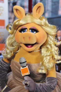 &quot;Disney Doesn’t Want Me&quot;: Original Miss Piggy Performer On Why He Hasn’t Returned To The Muppets