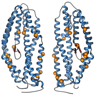 Scala Biodesign makes it easy to re-engineer proteins one molecule at a time – or 50