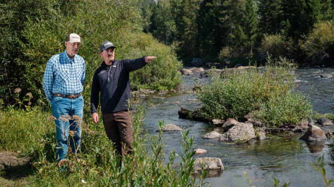 ‘Zombie Trout’ Unsettle Montana, Long a Fly-Fishing Mecca