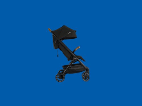 10 Best Strollers for Almost Every Budget and Need (2024): New Top Picks!