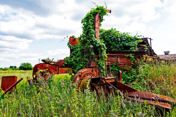 Abandoned Farms Are a Hidden Resource for Restoring Biodiversity