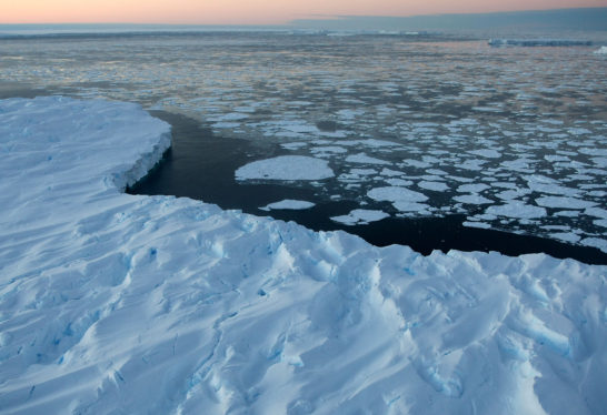 Bizarre year for sea ice notches another record