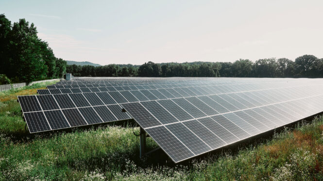 Energy Firms, Green Groups and Others Reach Deal on Solar Farms