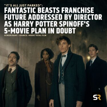Fantastic Beasts 5-Movie Plan Was A Total Surprise To Harry Potter Franchise Director