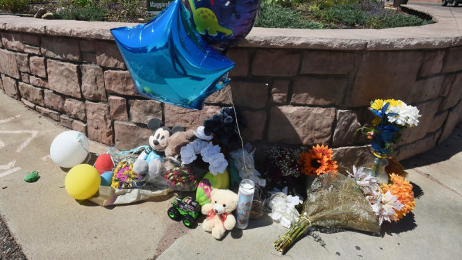 Gun Deaths Rising Sharply Among Children, Study Finds