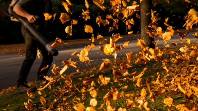 Hear That? It’s the Sound of Leaf Blower Bans