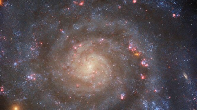 Hubble Telescope captures the bright core of a loosely wound spiral galaxy (photo)