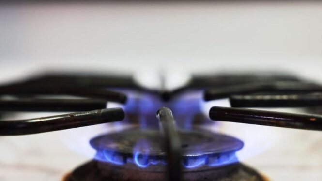 New York’s Gas Stove Ban Gets a Legal Challenge