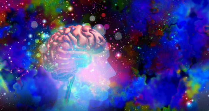 Psychedelics plus psychotherapy can trigger rapid changes in the brain