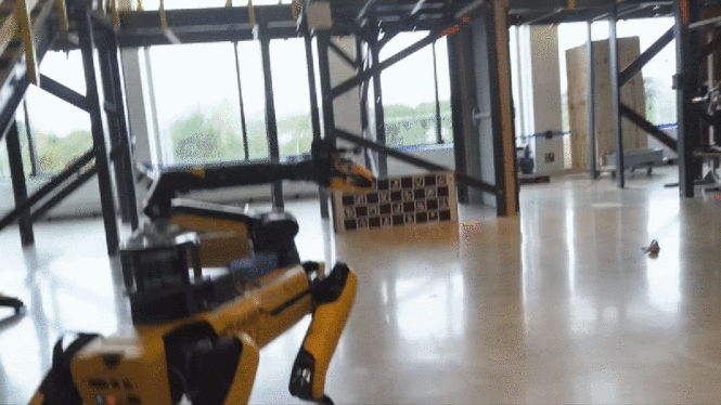 This Boston Dynamics Robot Dog Uses ChatGPT to Sound Vaguely British