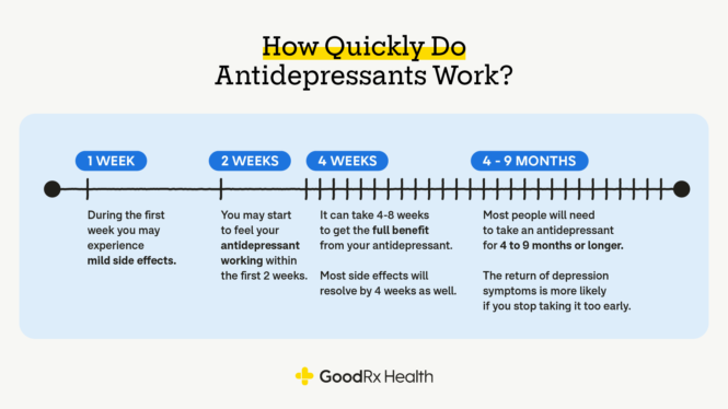 Why Antidepressants Take So Long to Work