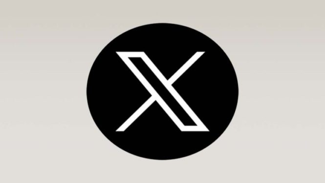 X sues X in trademark infringement lawsuit