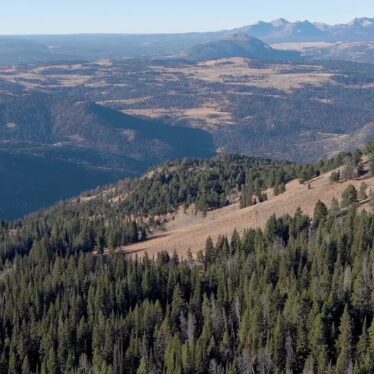 Yellowstone Border Purchase Stops Gold Mine From Infringing on Bear Habitat