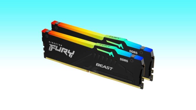 Early Black Friday RAM deals 2024: 33% off desktop and laptop RAM kits