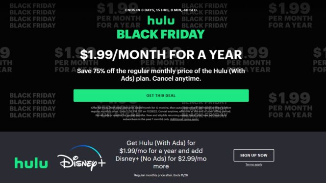 Hulu and Disney Plus Black Friday deal: get both for $2.99/month