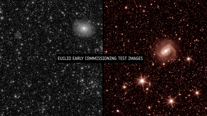 Live Reveal: Euclid Space Telescope’s First Glimpse of the Dark Universe