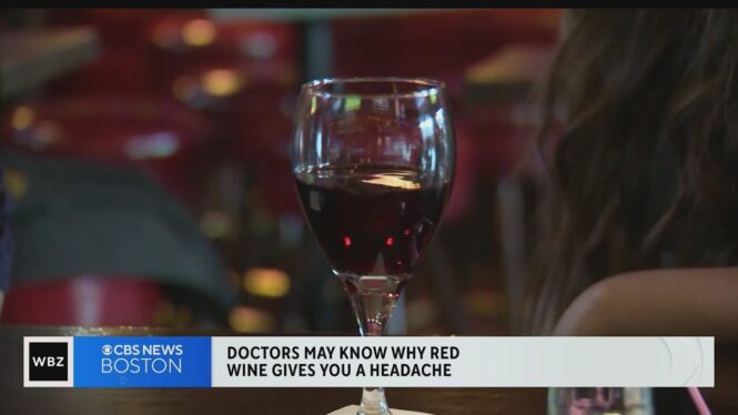 Scientists May Have Figured Out Why Red Wine Gives You a Headache