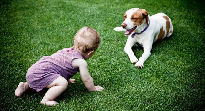 Stop Letting Your Babies Play With Dog Food