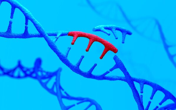 The First Crispr Medicine Just Got Approved