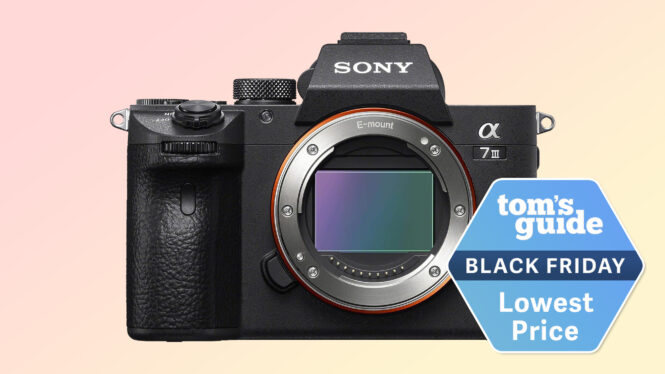 This Black Friday camera deal might just get me to switch to Sony