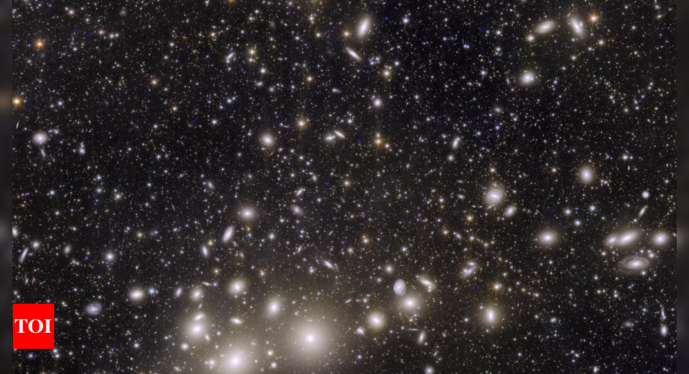 Webb Telescope Spots the Second-Most-Distant Galaxy Yet