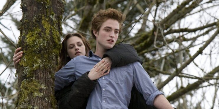 Why Original Twilight Director Didn’t Return For Sequels Explained 15 Years Later