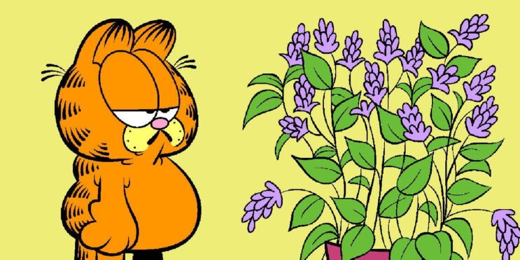 10 Funniest Garfield Comics Starring Garfield’s Nemesis Mrs. Feeny