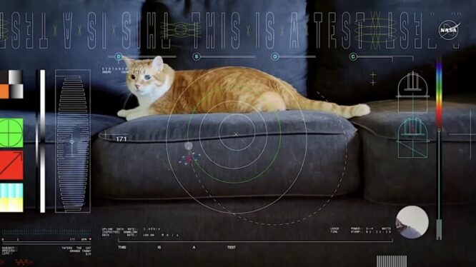 A cat video highlighted a big year for lasers in space