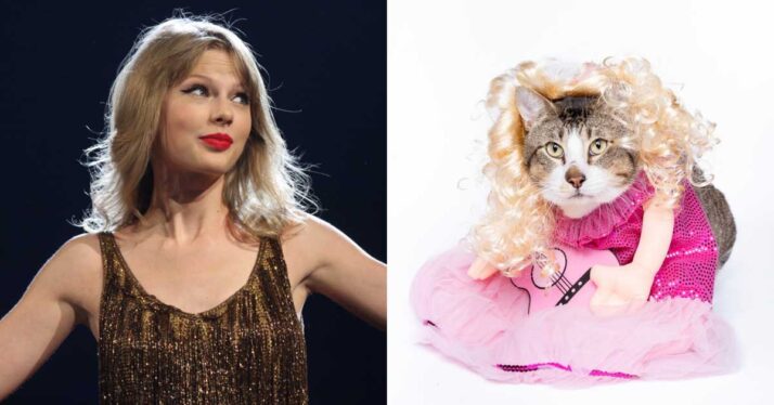 Animal Shelters Call on Swifties to Donate $13 to Celebrate Taylor Swift’s Birthday