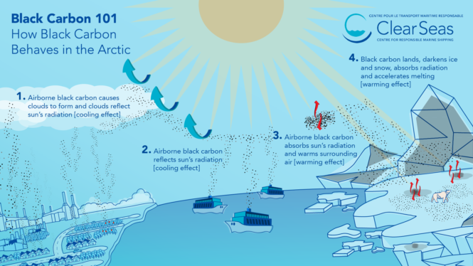 As the Arctic Warms, Its Waters Are Emitting Carbon