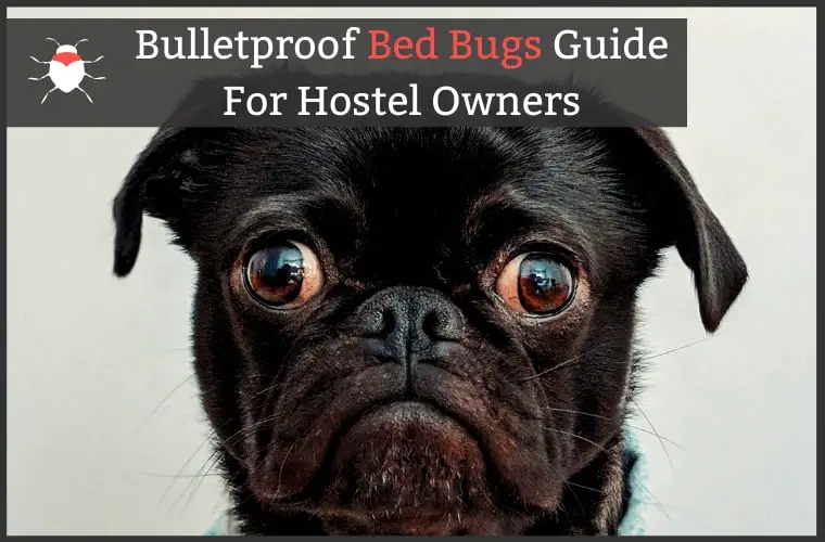 Deal Dive: Thank god a startup is solving the bed bug problem