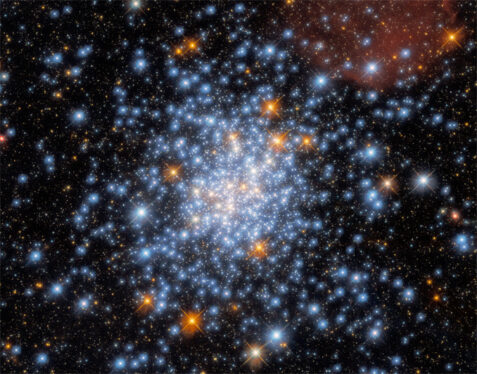 Hubble Captures a Cluster in the Cloud