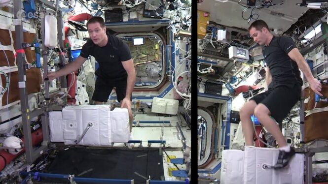 In a gym 250 miles above Earth, astronauts sweat for science