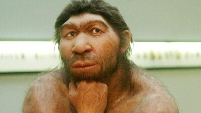 Neanderthal Genes Could Explain Why Some of Us Are Morning People