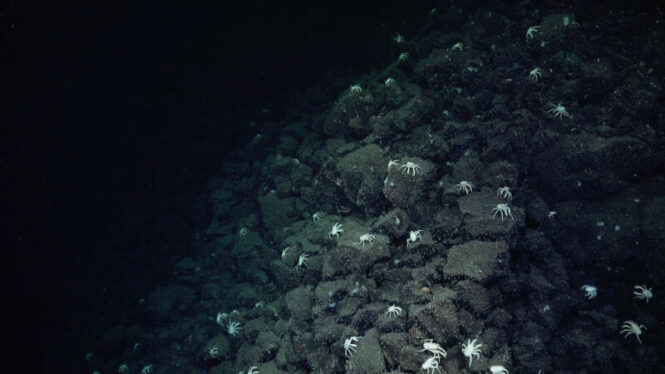 Otherworldly mini-Yellowstone found in the deep sea