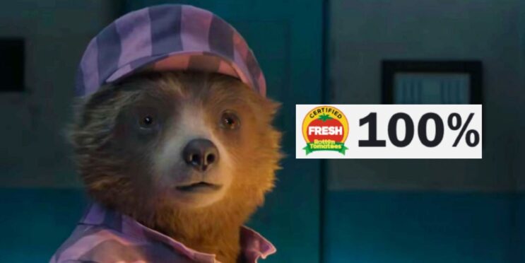 Paddington 2 Director Reacts To Losing 100% Rotten Tomatoes Score Due To 1 Bad Review