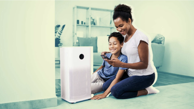 The best air purifiers for mold, selected by experts