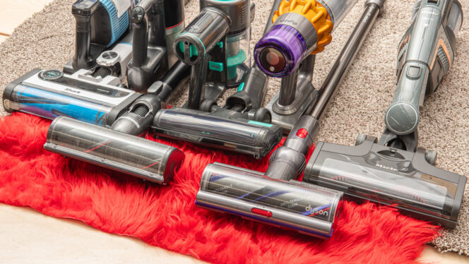The best cordless vacuums for pet hair, wood, and more