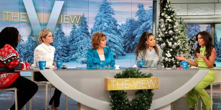 Was The View Canceled In 2023? Everything We Know About The Rumor