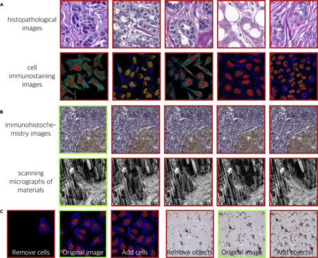 All Science journals will now do an AI-powered check for image fraud