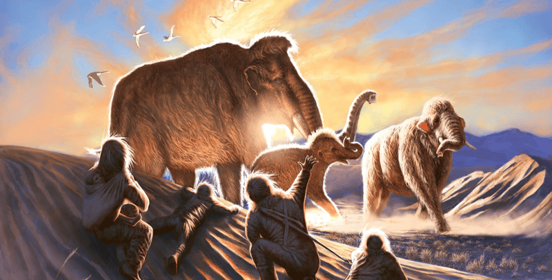 An Alaskan mammoth and ancient humans frequented the same areas