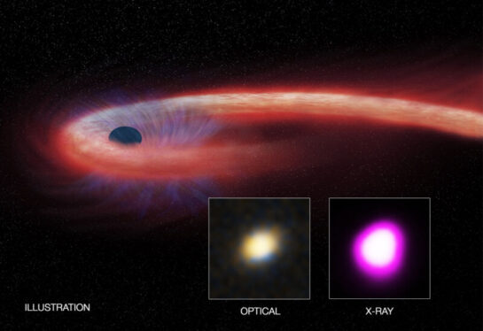 Explaining why a black hole produces light when ripping apart a star