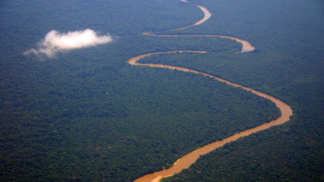 Footprints of Lost Cities Found in the Amazon Rainforest