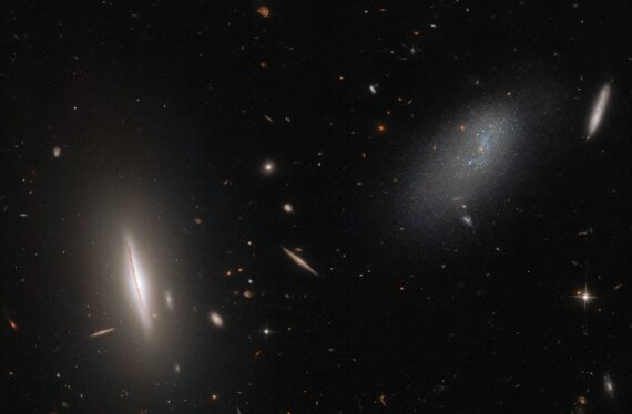 Hubble Views a Vast Galactic Neighborhood