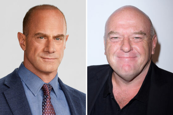 Law & Order: OC Season 4 Casts Major Breaking Bad Star As Stabler’s Brother